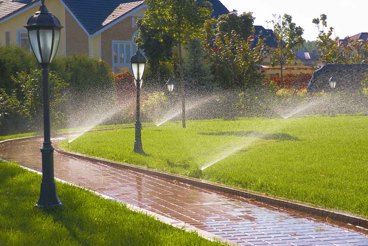 Irrigation System Installation in Central project 1