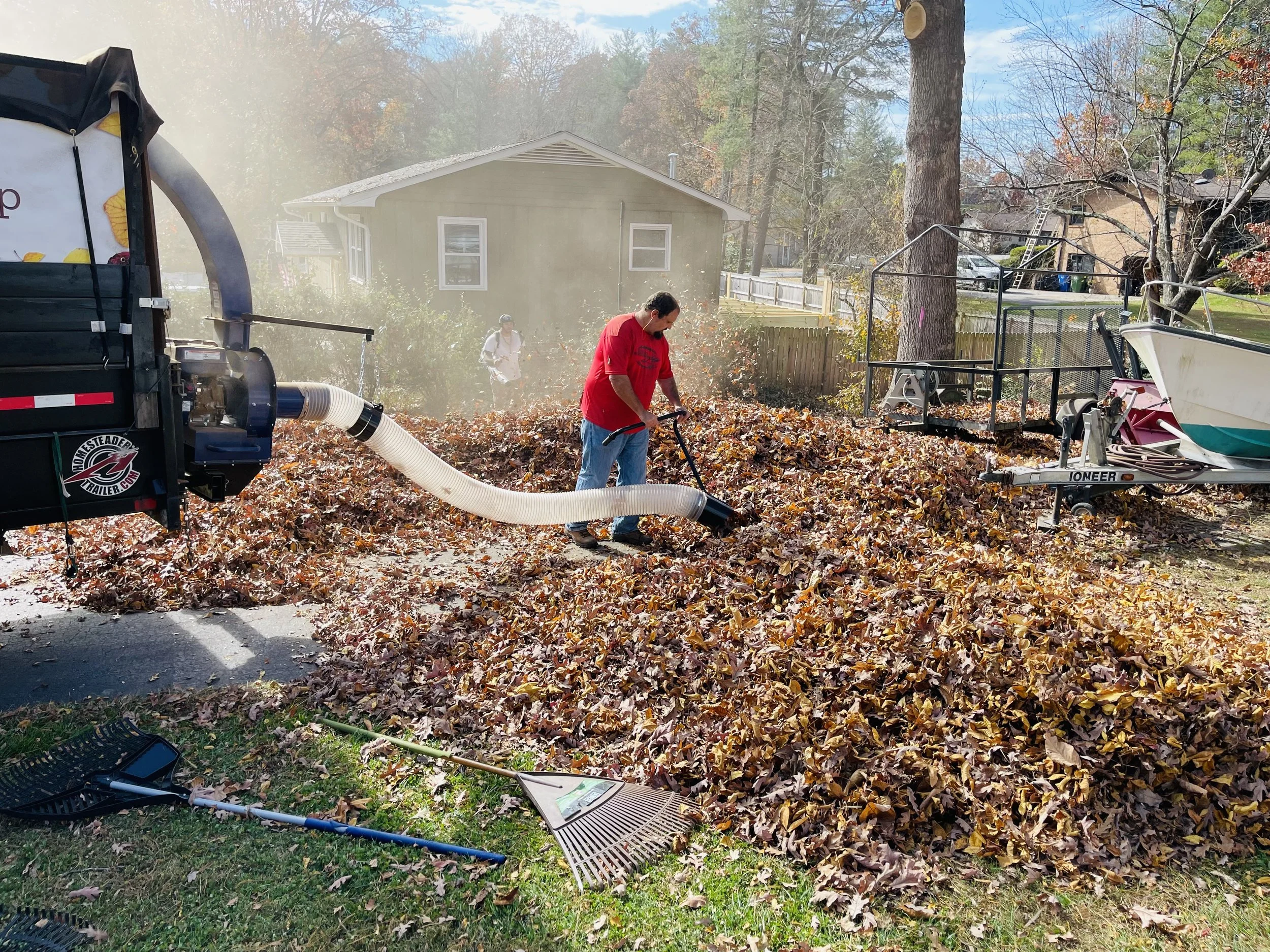 Leaf Removal in Baker project 1