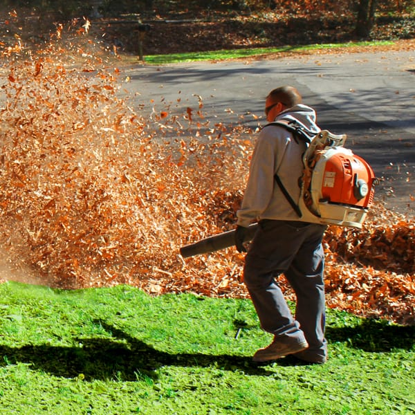 Leaf Removal in Baker project 4