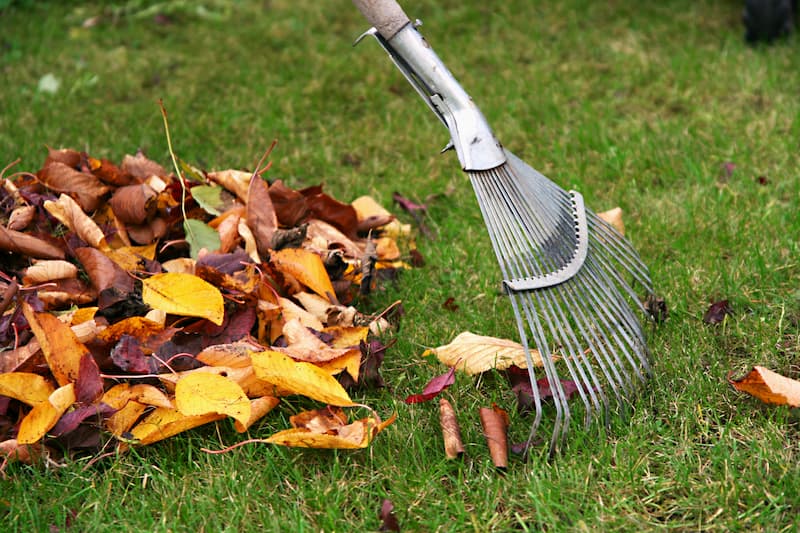 Leaf Removal in Baker project 5
