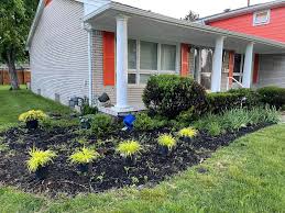 Tree & Shrub Planting project 6