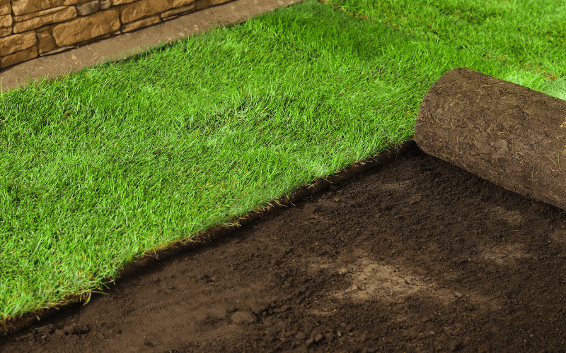 Sod Installation in Leland project 1