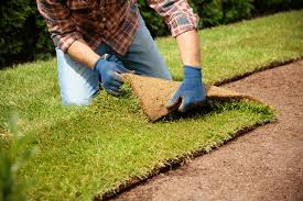 Sod Installation in Leland project 4