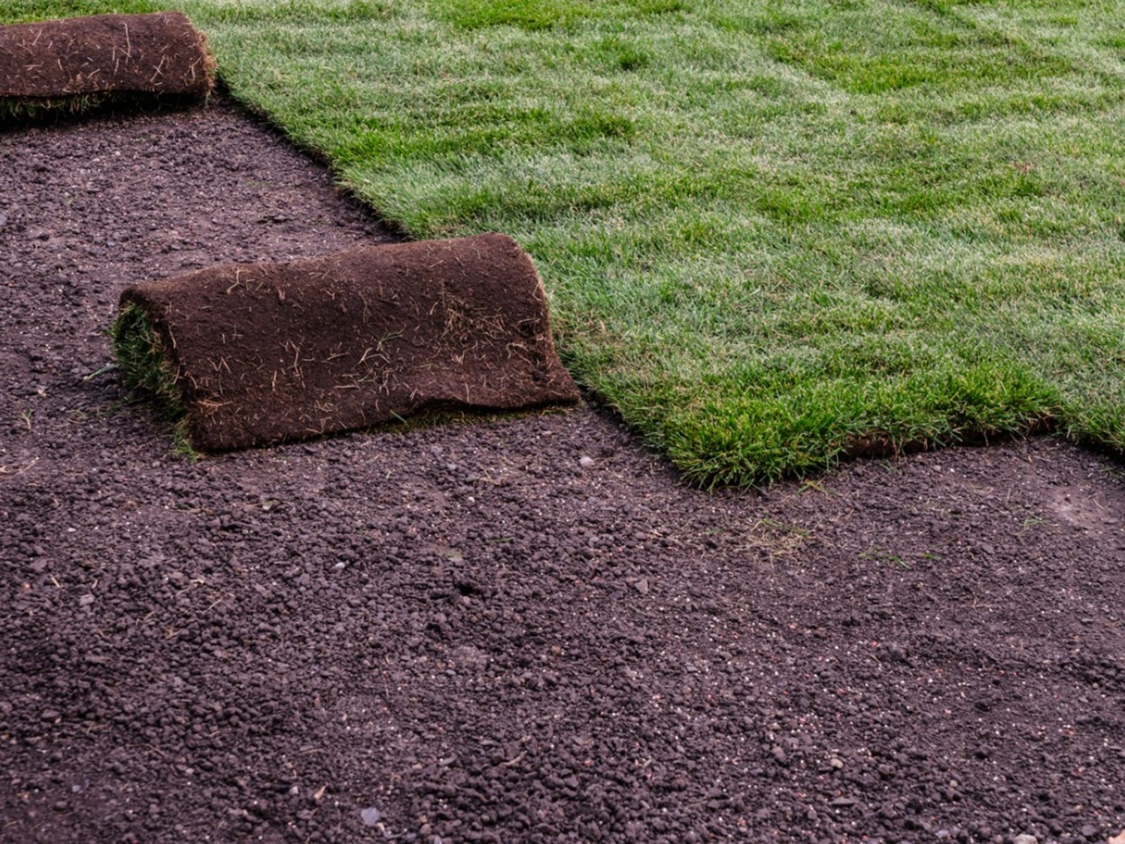 Sod Installation in Leland project 6