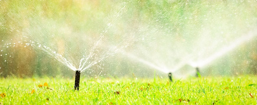 Irrigation System Installation in Hempstead example 6