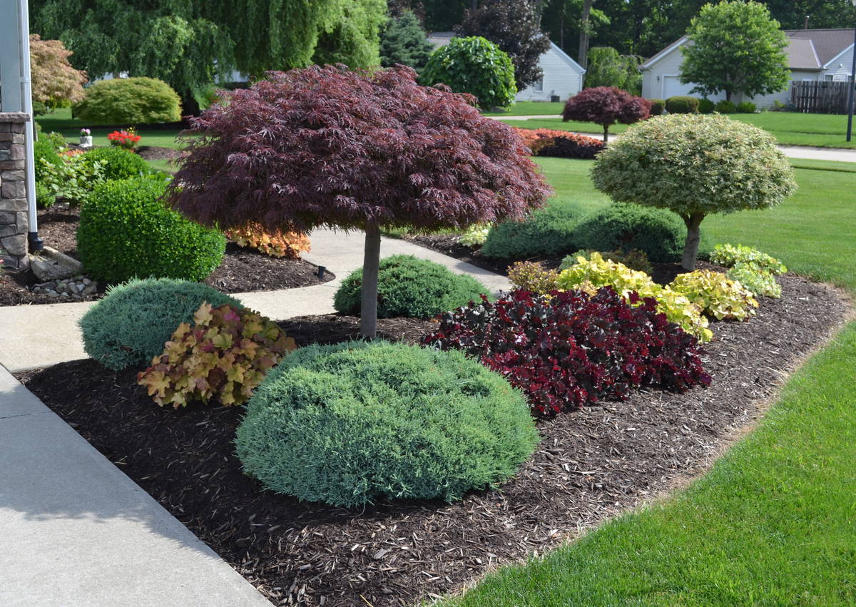 Landscape Design in Hempstead example 7