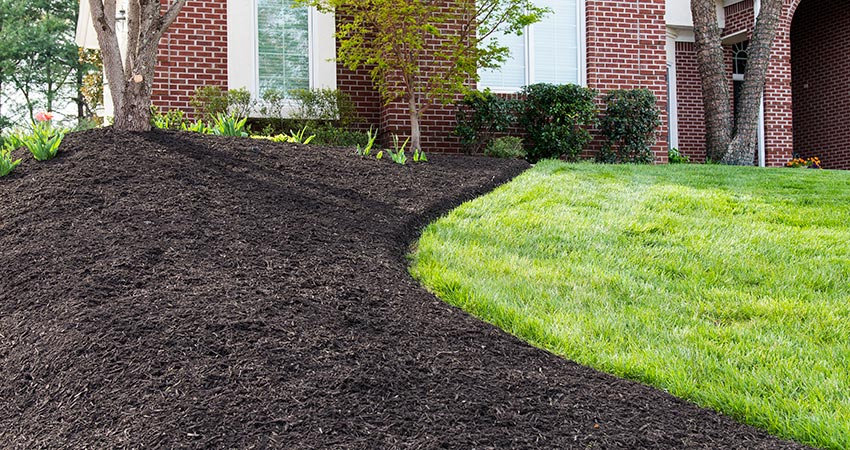 Mulch Installation in Hempstead example 2