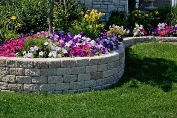 Tree & Shrub Planting in Hempstead example 3