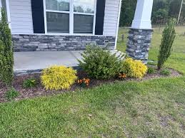 Tree & Shrub Planting in Hempstead example 5