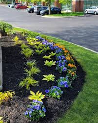 Tree & Shrub Planting in Hempstead example 7
