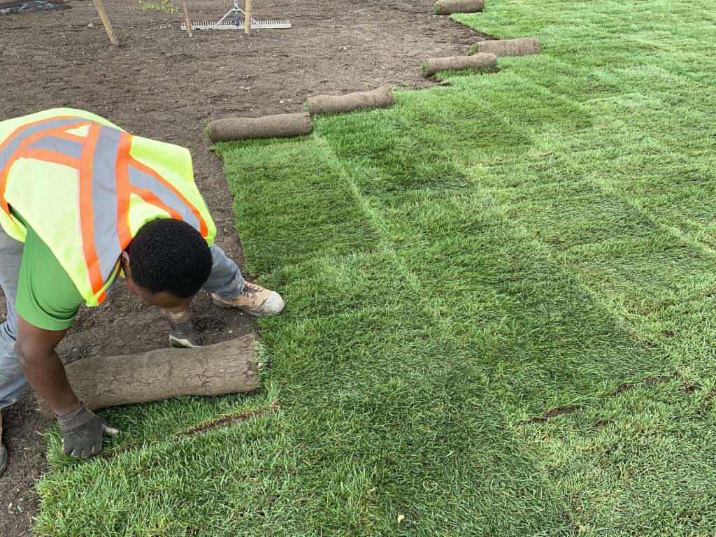 Sod Installation in Hempstead example 2