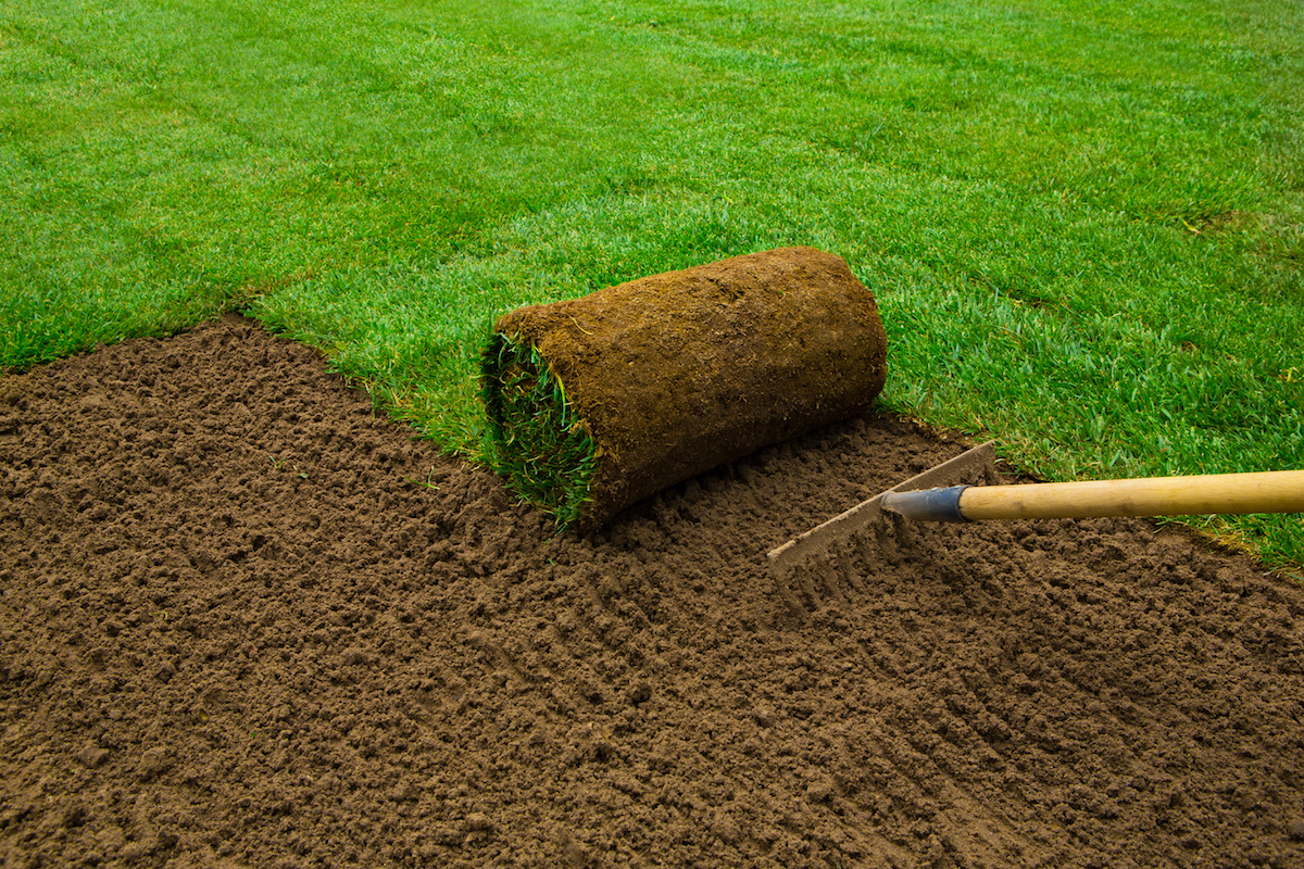 Sod Installation in Hempstead example 3