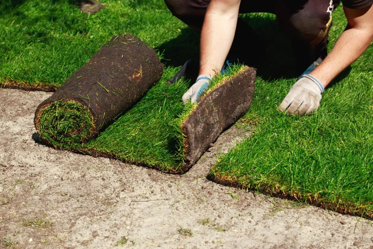 Sod Installation in Hempstead example 5